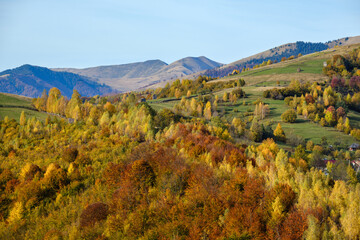 Autumn morning Carpathian Mountains calm picturesque scene, Ukraine. Peaceful traveling, seasonal, nature and countryside beauty concept scene.