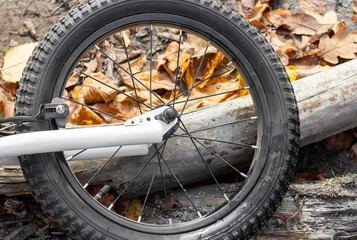 Fototapeta na wymiar Fragment of a bicycle in a wooded area. Bicycle wheel in the environment.