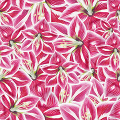 seamless pink amaryllis  floral seamless pattern