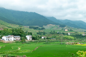 Fototapeta na wymiar Idyllic scenery, Rice terraces in rural China
