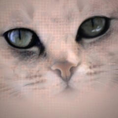 Visualization of a pink kitten using a polygonal grid. Abstraction.