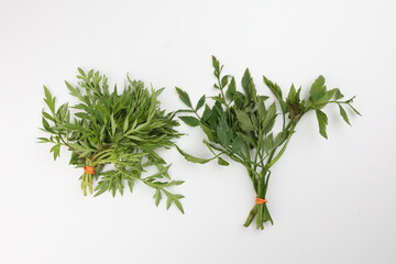 Malaysian Malay herbal leafy appetizer dish daun ulam raja selom lovage on white background