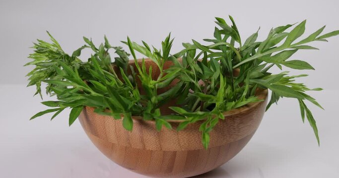 Malaysian Malay herbal leafy appetizer dish daun ulam raja selom lovage in small wooden bowl on white background
