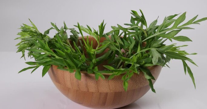 Malaysian Malay herbal leafy appetizer dish daun ulam raja selom lovage in small wooden bowl on white background