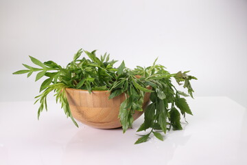 Malaysian Malay herbal leafy appetizer dish daun ulam raja selom lovage in small wooden bowl on white background