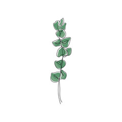 Eucalyptus branch in modern single line art style. Minimalistic line drawing and coloring. Vector illustration.