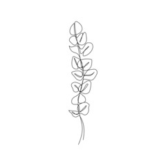 Eucalyptus leaf branch in continuous one line drawing. Minimalistic line art. Vector illustration.