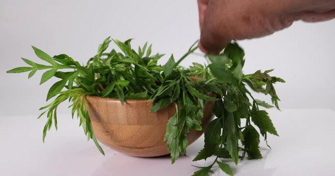 Malaysian Malay herbal leafy appetizer dish daun ulam raja selom lovage in small wooden bowl on white background