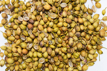 Coriander seed isolated on white background.
