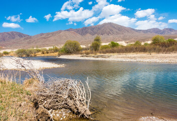 River among the mountains. Calm transparent ovda. Summer landscape. Boom Gorge, Kyrgyzstan.