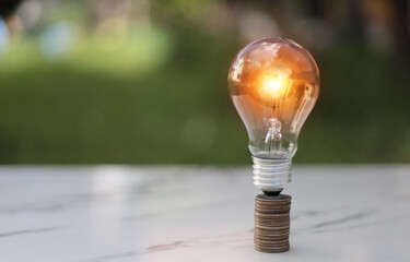 Light bulb with coins and for saving money,financial,business or energy concept put on the stone soft green nature background.