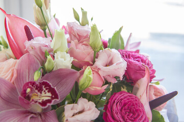bouquet of pink tulips