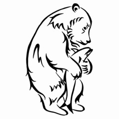 A grizzly bear holds a fish in its paws. Hand sketch bear catching fish. Vector illustration. Linear drawing.