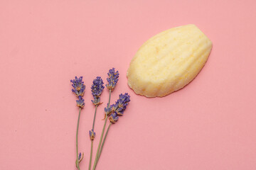 bath ball in shell shape and lavender flowers as ingredients of a relaxing bath on salmon colored...