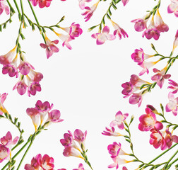 Flowers frame with purple flower petals and green curved stems at white background. Floral backdrop...