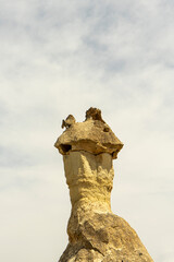 Vertical photography of a fairy chimney on light blue sky background in Cappadocia. Space for text.