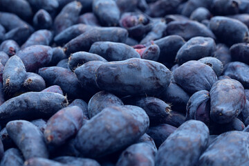 Honeysuckle berry closeup
