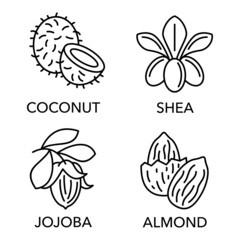 Essential oils set of icons in thin line