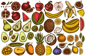 Fruits hand drawn vector illustrations collection. Colored bananas, pears, kiwi etc.