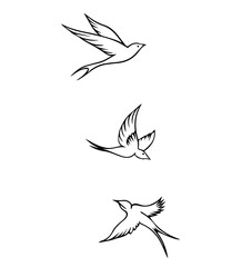 Flying swallows. Bird in flight isolated on white background. Tattoo idea