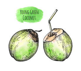 Young green coconuts.