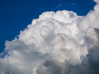 Massive rain cloud, Cumulus congestus, in the blue sky