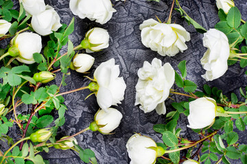 White bush roses on a black (dark) background. The wild rose Bush. (rosehip, dogrose).  Beautiful texture. The concept of the celebration. Floral background.