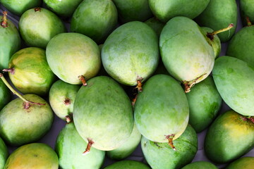 heap of farm fresh harvest mango,top view 