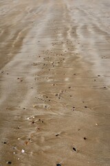 footprints in the sand