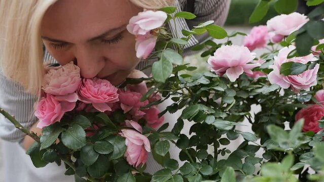 A beautiful Caucasian adult woman approached and leaned over and sniffed the growing city roses, enjoying the aroma of flowers, closed her eyes. Slow motion, DOF.