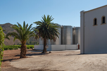 Fototapeta na wymiar Robertson, Western Cape, South Africa. 2022. Palms, vines and stainless steel, fermentation tanks at a winery on the Robertson wine route.
