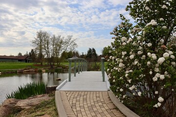 A view in front of the wood bridge in the park.