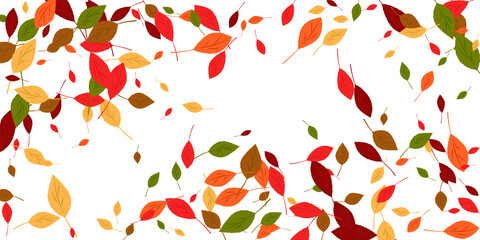 Leaves. Yellow, red, green, orange, brown colors. Scattered autumn leaves. Unusual abstract texture. Vector eps 10.