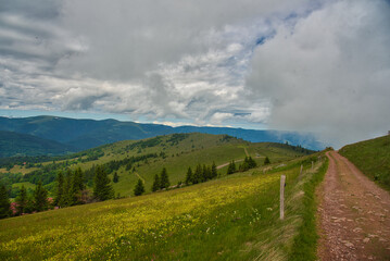 Landschaft auf dem Petit Ballon in den Vogesen in Frankreich