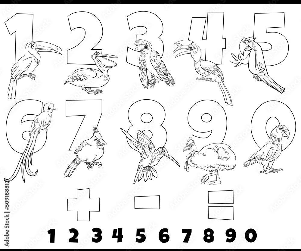 Wall mural educational numbers set with cartoon birds coloring page