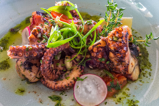 Fricass&eacute;e de poulpe &agrave; la proven&ccedil;ale 