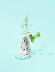 Blue cheese and wild strawberry, creative  arrangement against pastel blue background. 