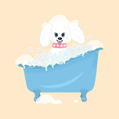 Cartoon character cute white dog poodle sitting in the bathtub blue with soap scum and soap .bubbles,funny puppy isolated on beige background. Vector illustration in flat style.