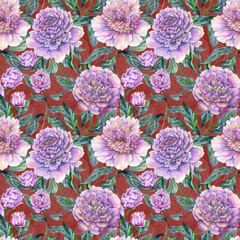 Beautiful purple peony flowers with green leaves on red background. Seamless floral pattern. Watercolor painting. Hand drawn illustration. - 509189803