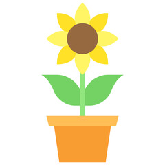 Sunflower icon, Festa junina related vector