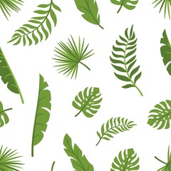 Exotic green leaves, palm tree foliage and monstera seamless pattern. Tropical forest leaf isolated on white. Nature travel vector background