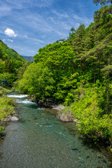 Fototapeta na wymiar 美しい新緑と渓流の風景