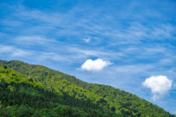 新緑の山と青空