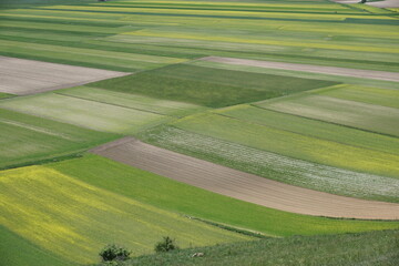 Piana di Castelluccio