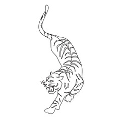 Оne line drawing Tiger. Vector ilustration. Line art.