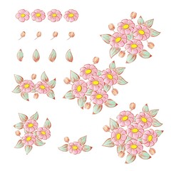 Pastel flowers hand draw set