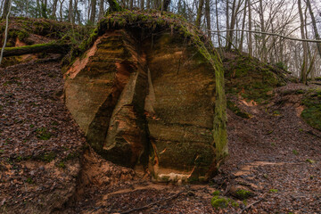 Latvia. Sigulda. Sateseles canyon in autumn.