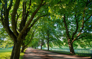 Fototapete bei efototapeten.de bestellen   