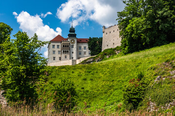 Fototapeta na wymiar Pieskowa Skala Castle in Ojcowski National Park near Cracow, Poland