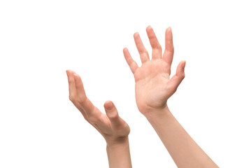 Obraz premium Woman hand isolated on a white background.